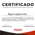 Ampliar imagem: certificate 4