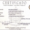 Ampliar imagem: certificate 8