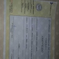 Ampliar imagem: certificate 37