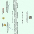Ampliar imagem: certificate 5