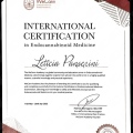 Ampliar imagem: certificate 1