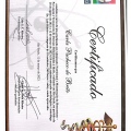 Ampliar imagem: certificate 13
