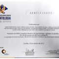 Ampliar imagem: certificate 29