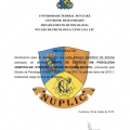 Ampliar imagem: certificate 5