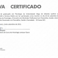 Ampliar imagem: certificate 5