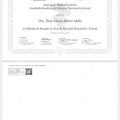 Ampliar imagem: certificate 4