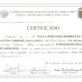 Ampliar imagem: certificate 6