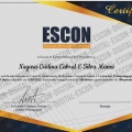 Ampliar imagem: certificate 5