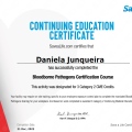 Ampliar imagem: certificate 3