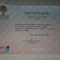 Ampliar imagem: certificate 40