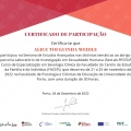 Ampliar imagem: certificate 2