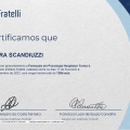 Ampliar imagem: certificate 2