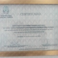 Ampliar imagem: certificate 7