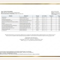 Ampliar imagem: certificate 3