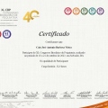 Ampliar imagem: certificate 1