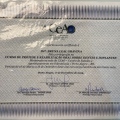 Ampliar imagem: certificate 6