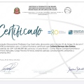 Ampliar imagem: certificate 4