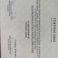 Ampliar imagem: certificate 19