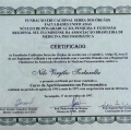 Ampliar imagem: certificate 4
