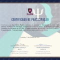 Ampliar imagem: certificate 4