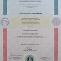 Ampliar imagem: certificate 1