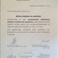 Ampliar imagem: certificate 5