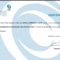 Ampliar imagem: certificate 2