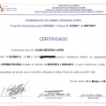 Ampliar imagem: certificate 5