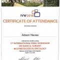 Ampliar imagem: certificate 2