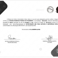 Ampliar imagem: certificate 3