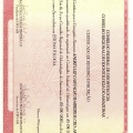 Ampliar imagem: certificate 1
