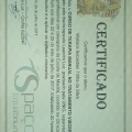 Ampliar imagem: certificate 4