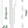 Ampliar imagem: certificate 1