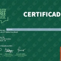 Ampliar imagem: certificate 22