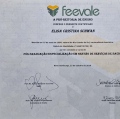Ampliar imagem: certificate 3