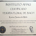 Ampliar imagem: certificate 5