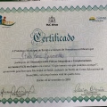 Ampliar imagem: certificate 3