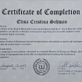 Ampliar imagem: certificate 4