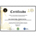 Ampliar imagem: certificate 6