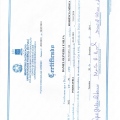 Ampliar imagem: certificate 2