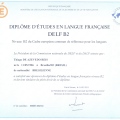Ampliar imagem: certificate 10