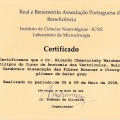 Ampliar imagem: certificate 14