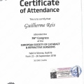 Ampliar imagem: certificate 4