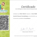 Ampliar imagem: certificate 2