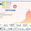 Ampliar imagem: certificate 23