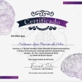 Ampliar imagem: certificate 3