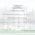 Ampliar imagem: certificate 2
