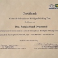 Ampliar imagem: certificate 11