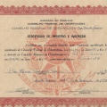Ampliar imagem: certificate 2