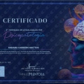 Ampliar imagem: certificate 4
